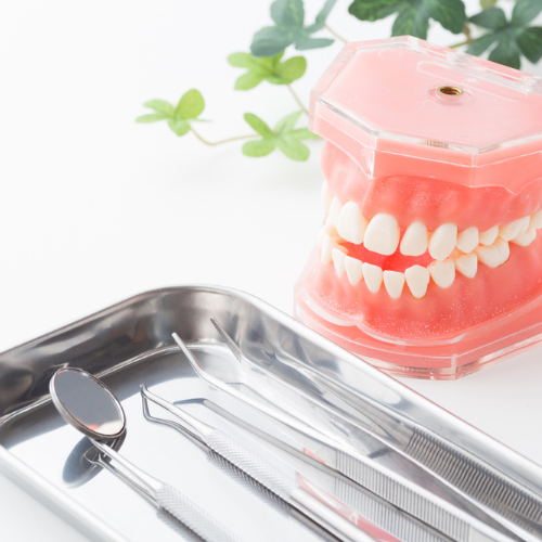 入れ歯相談を実施中